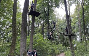 Mehr über den Artikel erfahren LERNEN AM ANDEREN ORT: IM KLETTERWALD KAMMERFORST