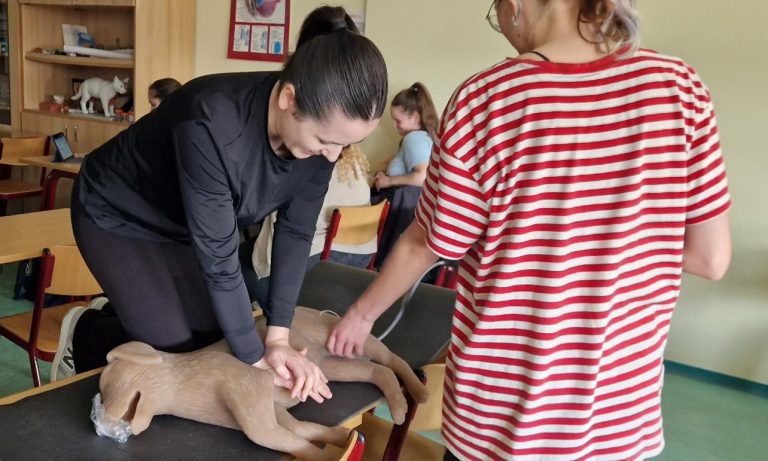 Mehr über den Artikel erfahren TIERISCH GUT AUSGEBILDET